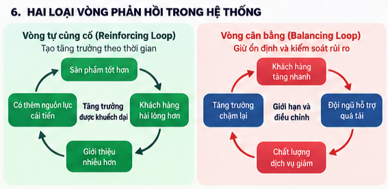 Hai loại vòng phản hồi: tự củng cố và cân bằng